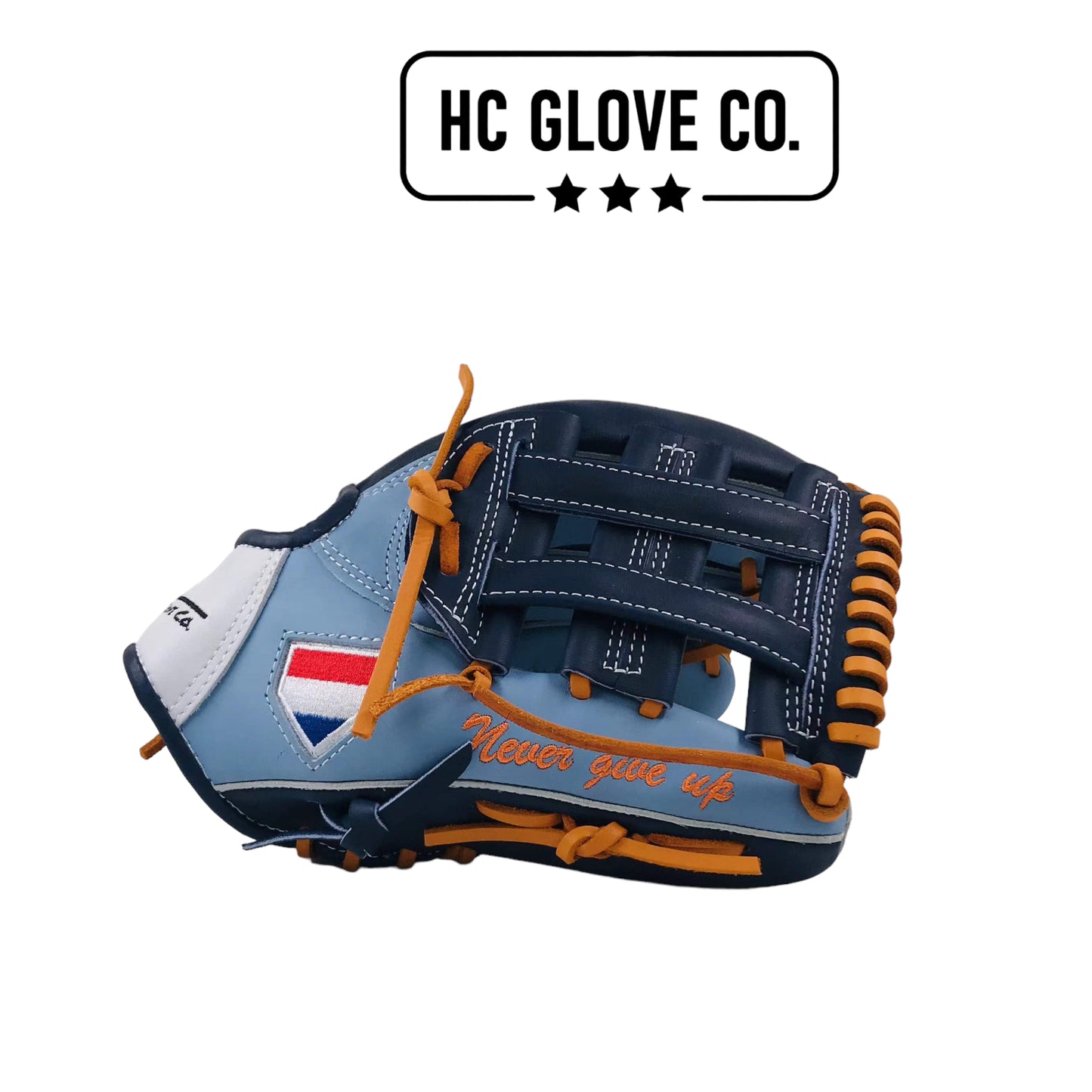 Custom Fielding Gloves